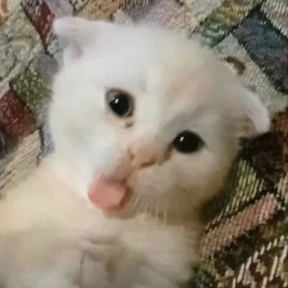 pammyy
