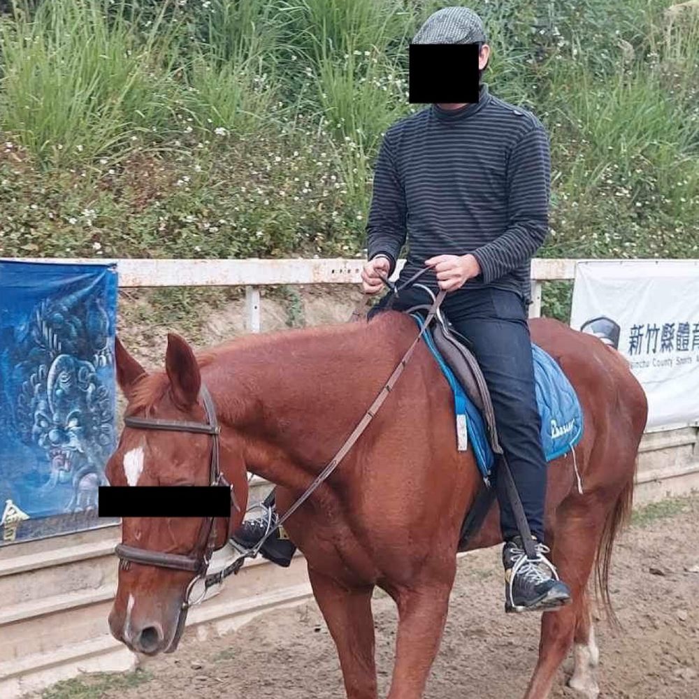 ハルトマン