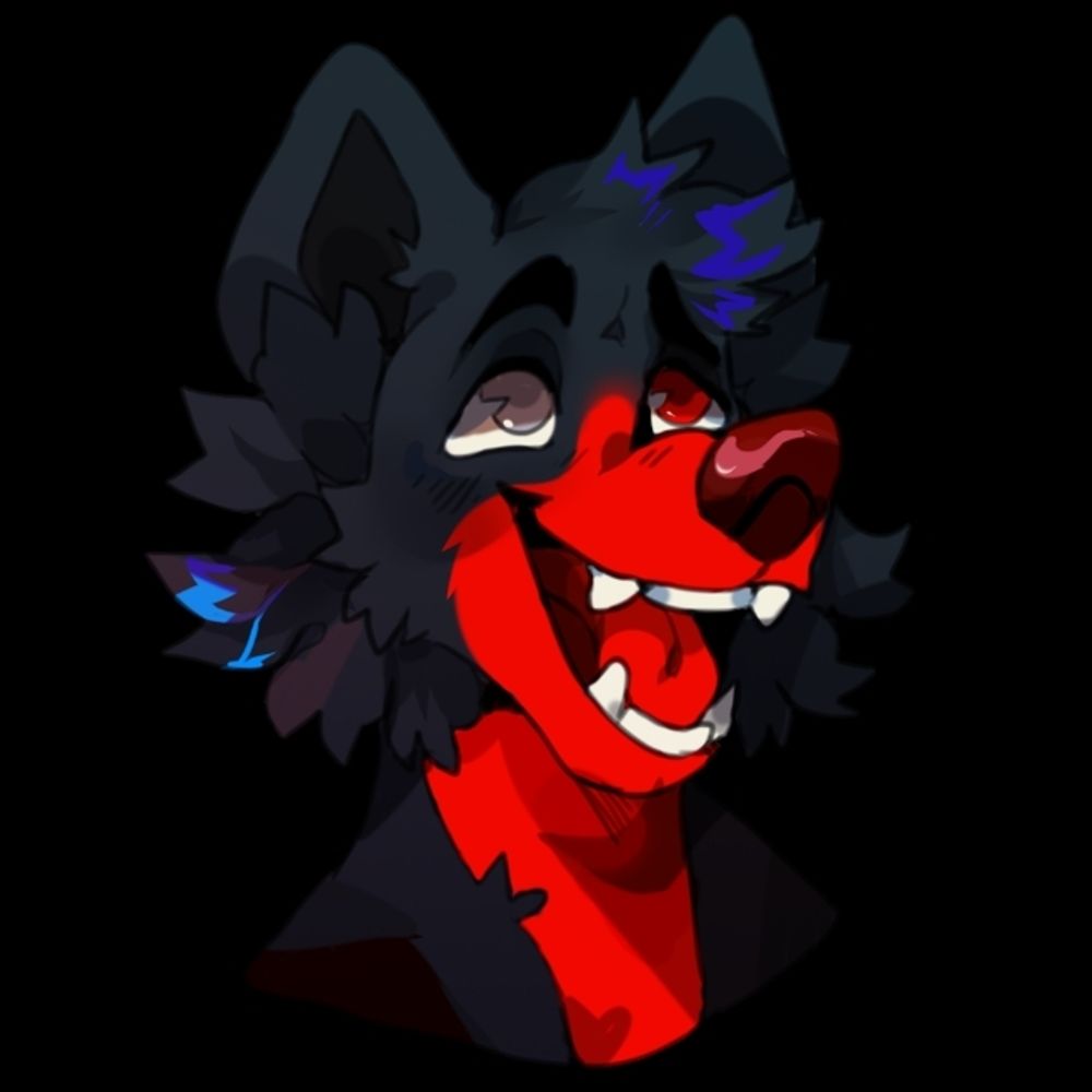 BZenWolf🔜ACFI25??