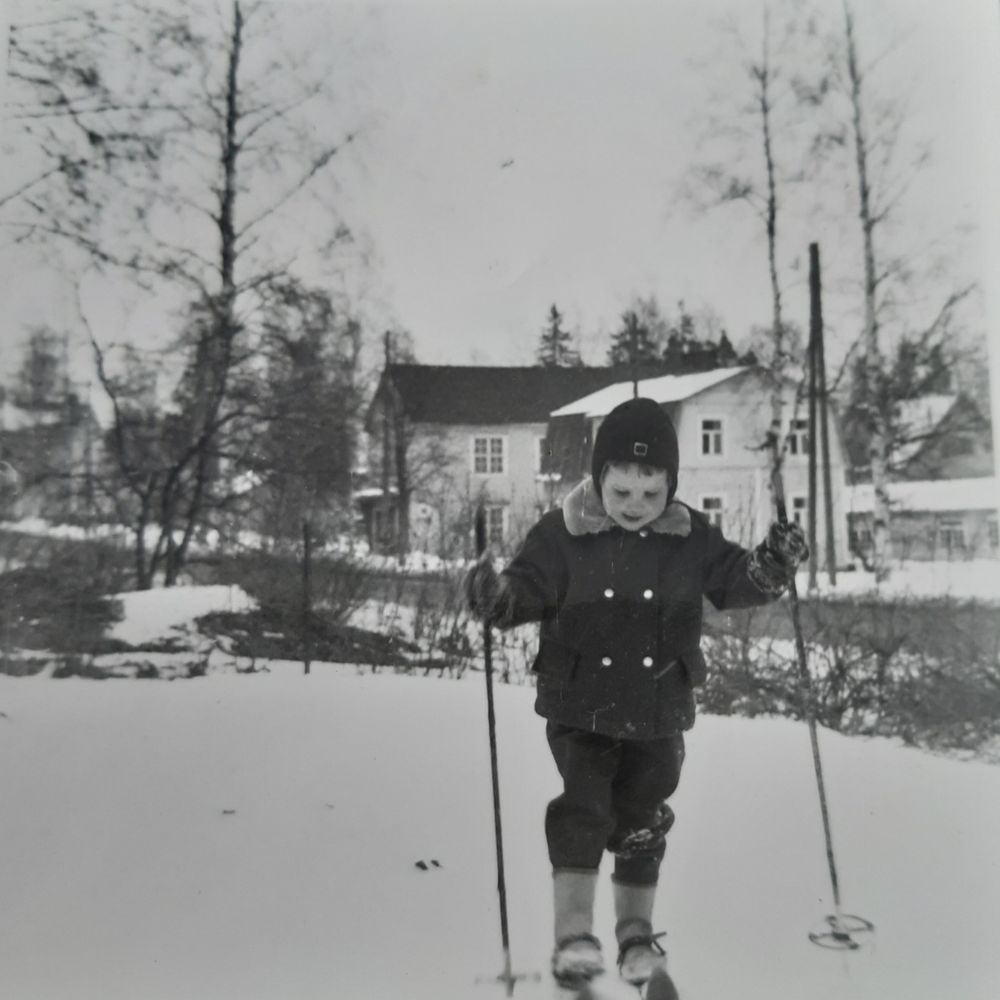 Liisu