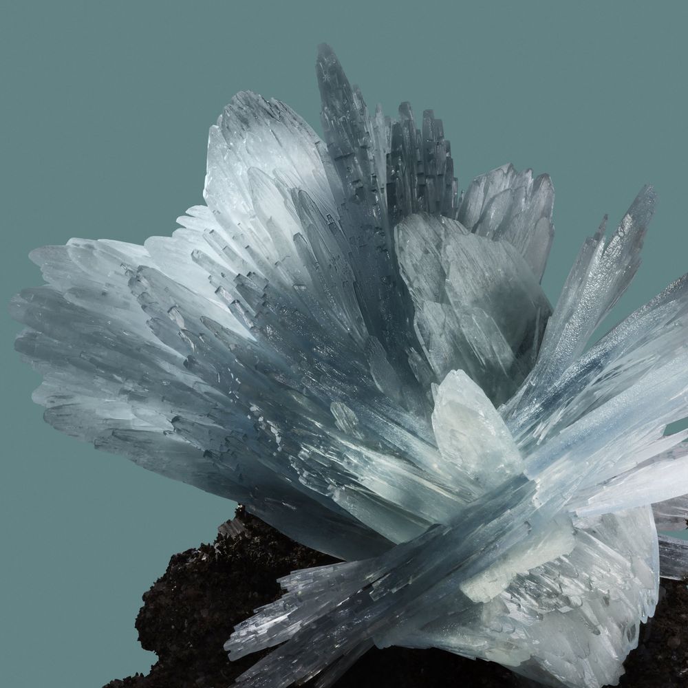 01 (Futurium)