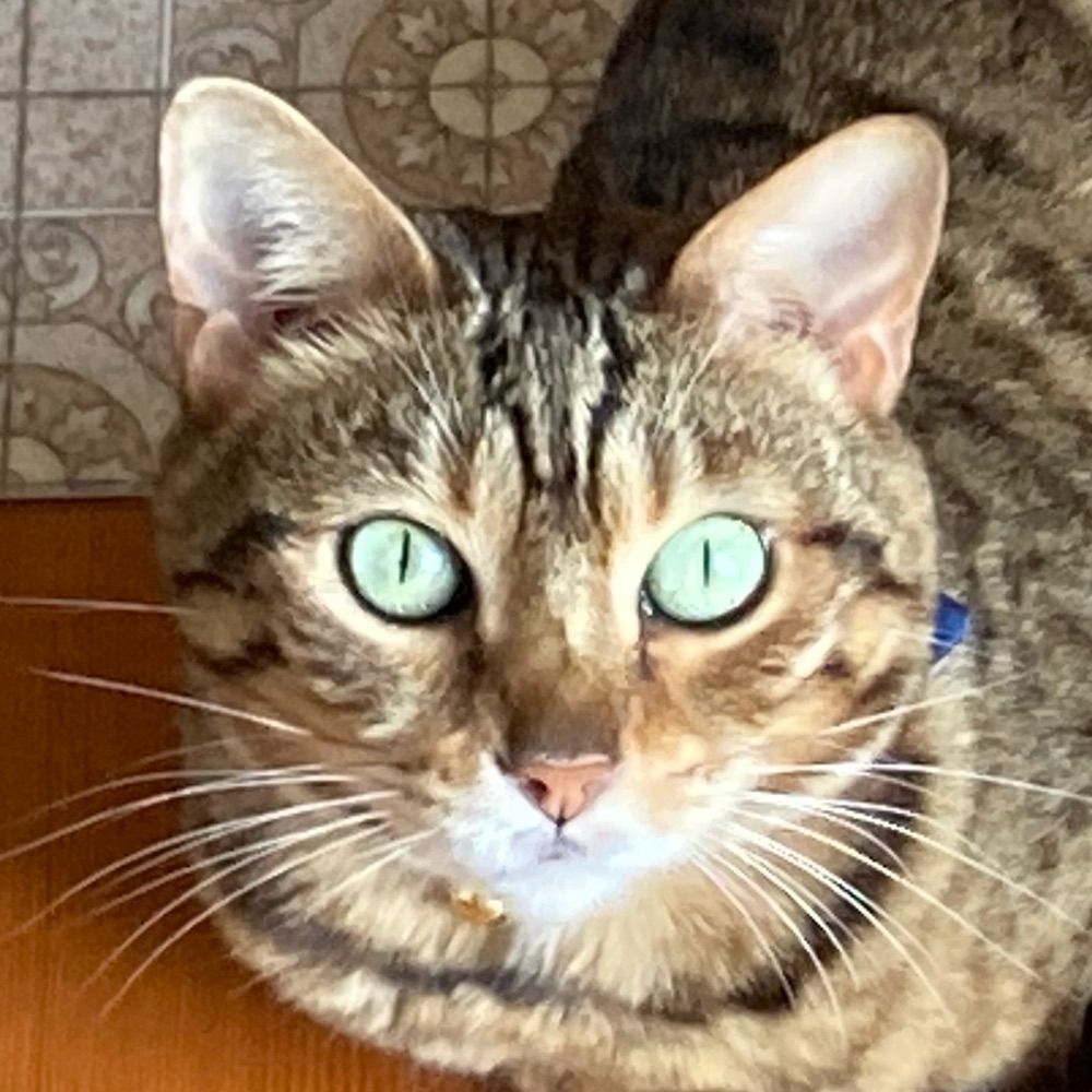 おりすけ
