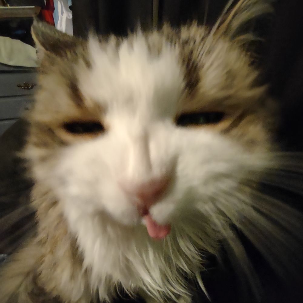 Max