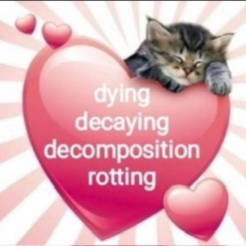 ｡･:*:･ﾟ★ ｡･:*:･ﾟ☆
