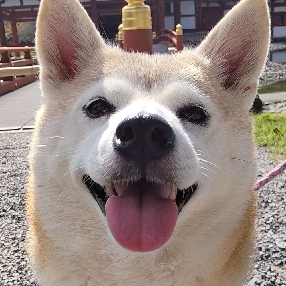 みんたろー