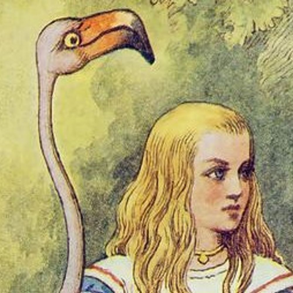 Liz Jennings