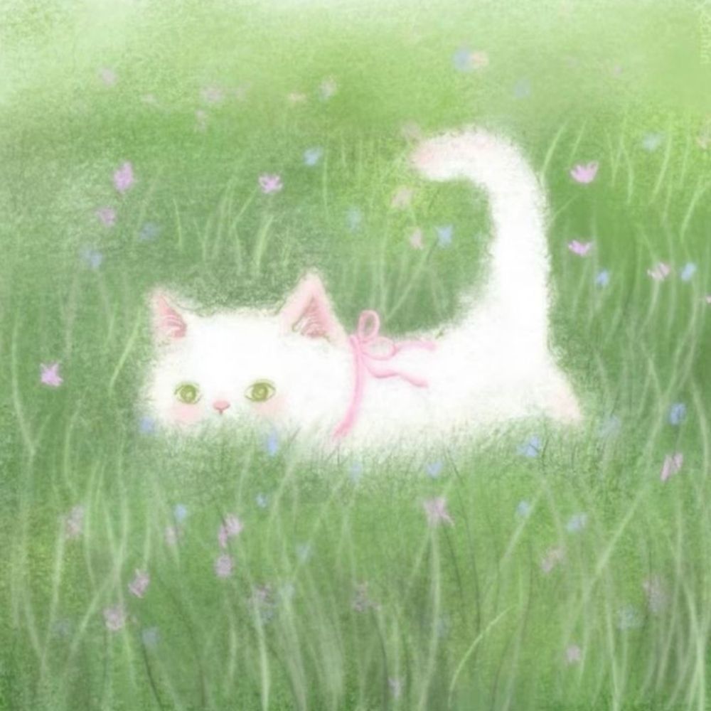 ~🌷○°•●`