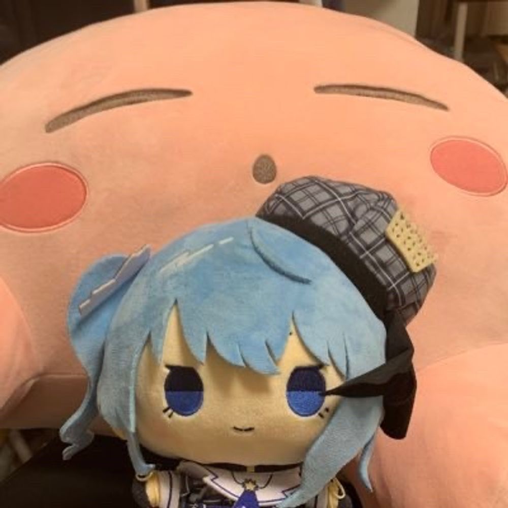 ている