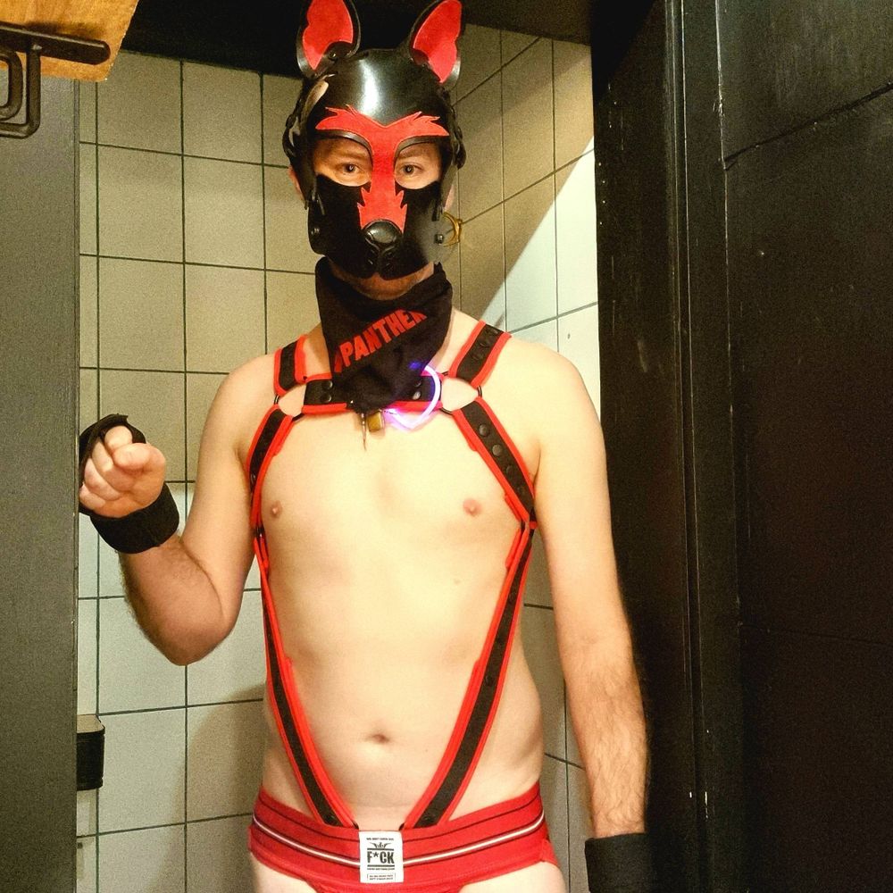 Pup Panther