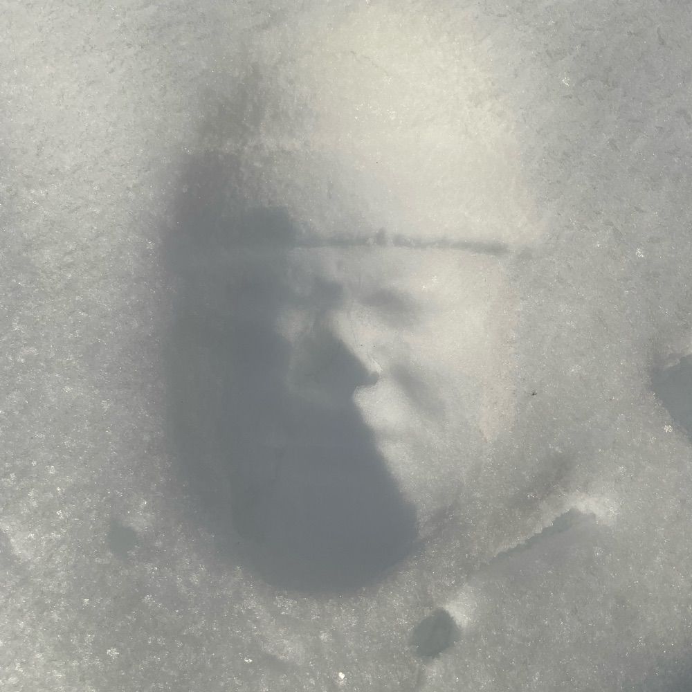 Julien Leloup