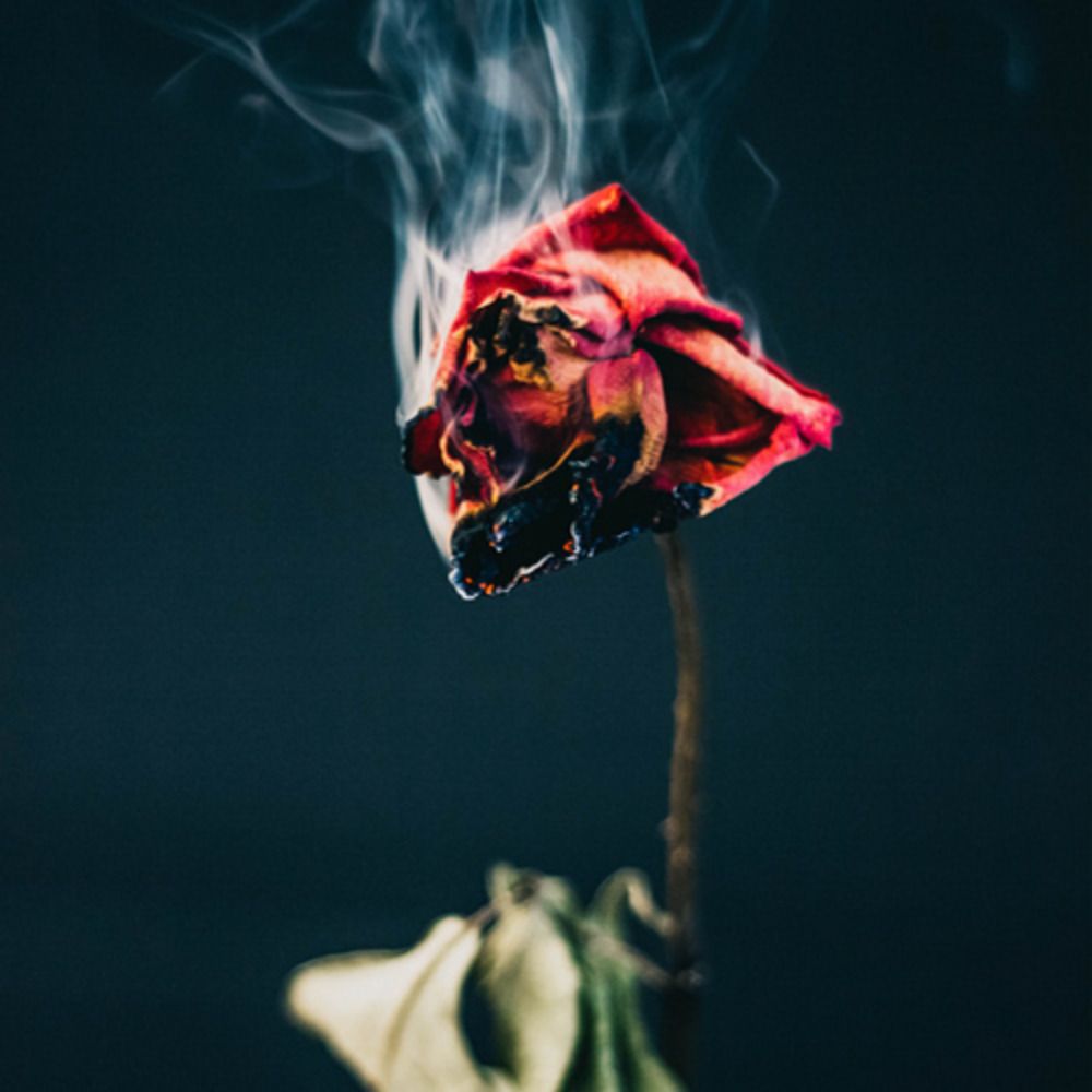 CinderFlower