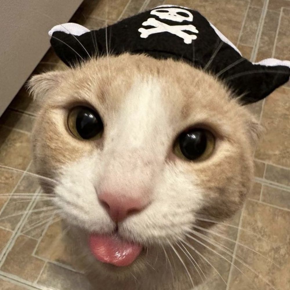 nay