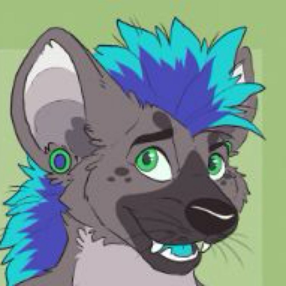 Wifi Yeen