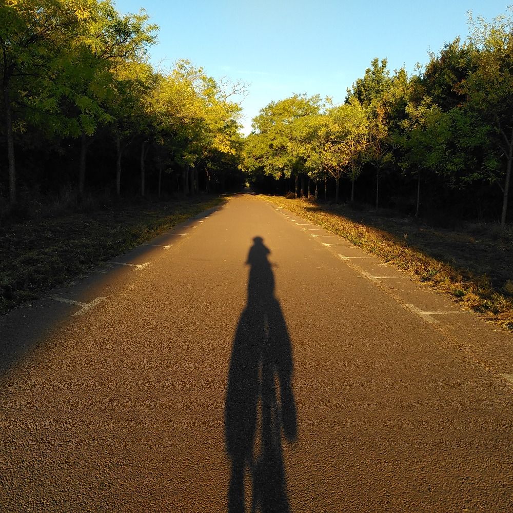 Mahaut 🌱🌧️🦥