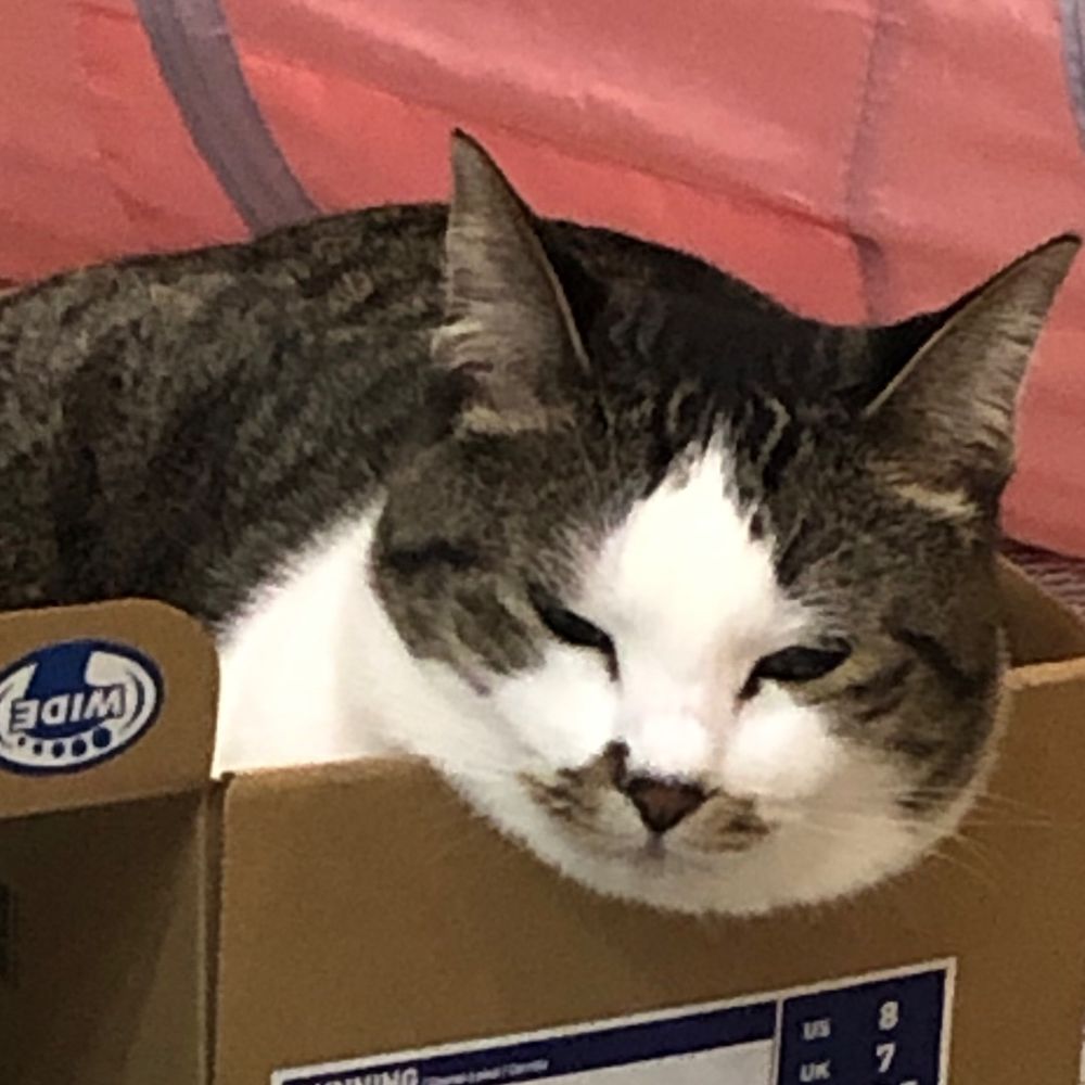 ささかま