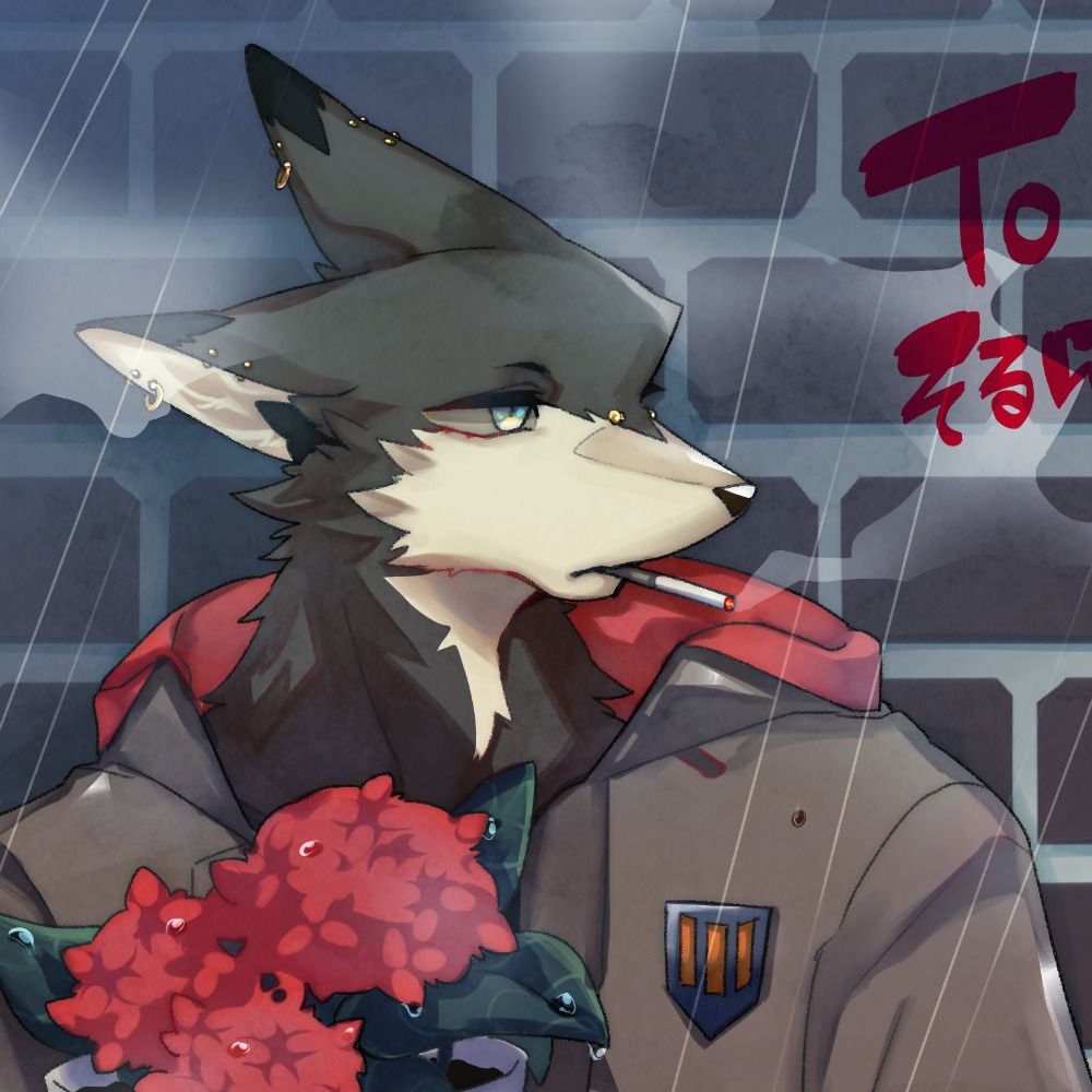 そるばーぐ