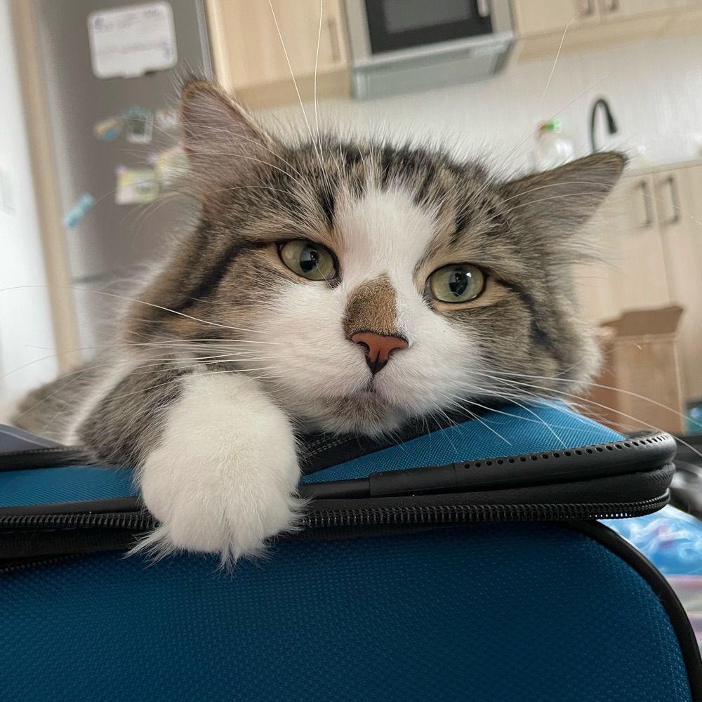 Theodore