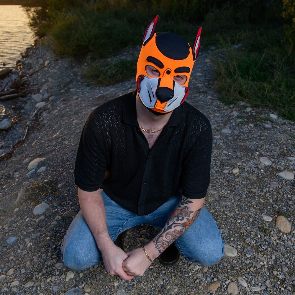 Quint Fox