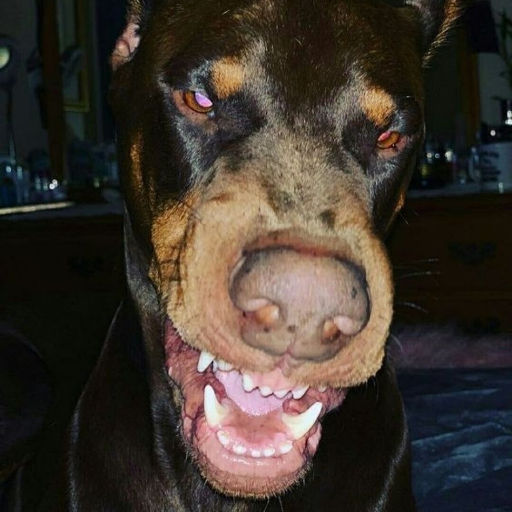 tatazinha☆