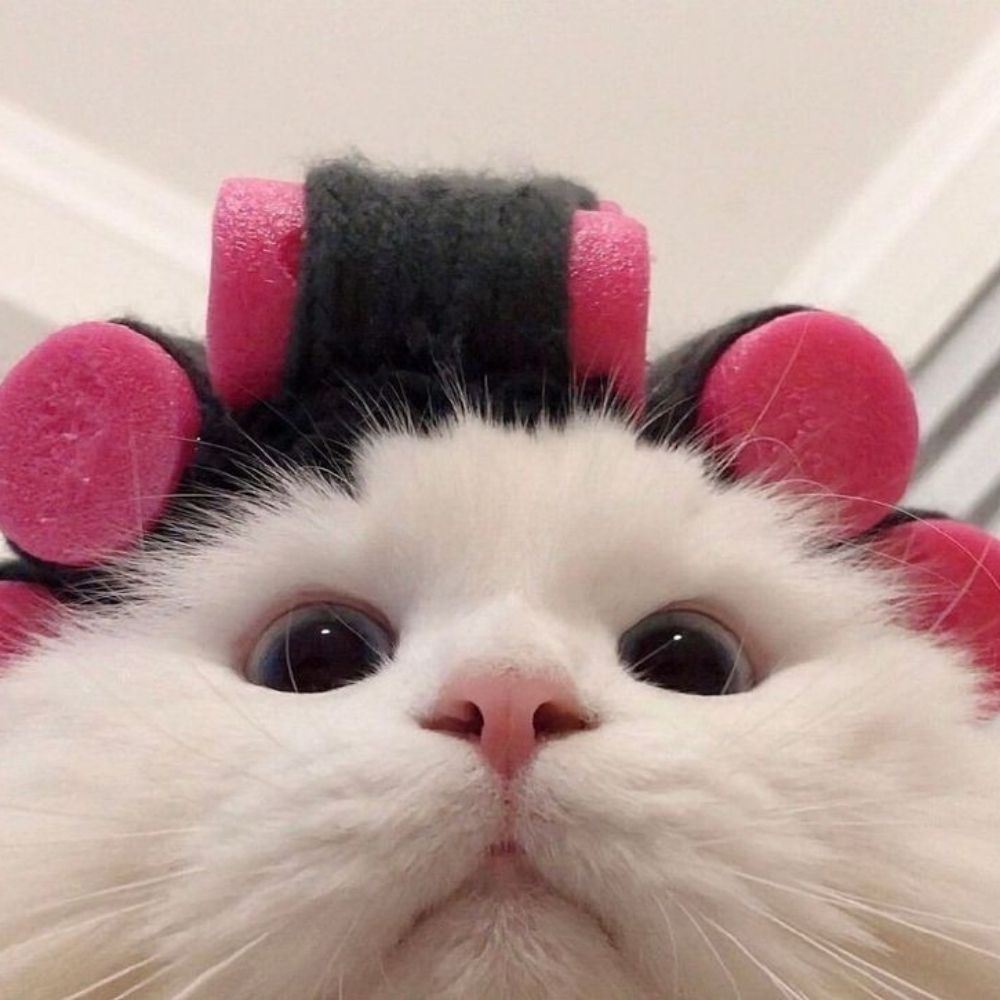 '