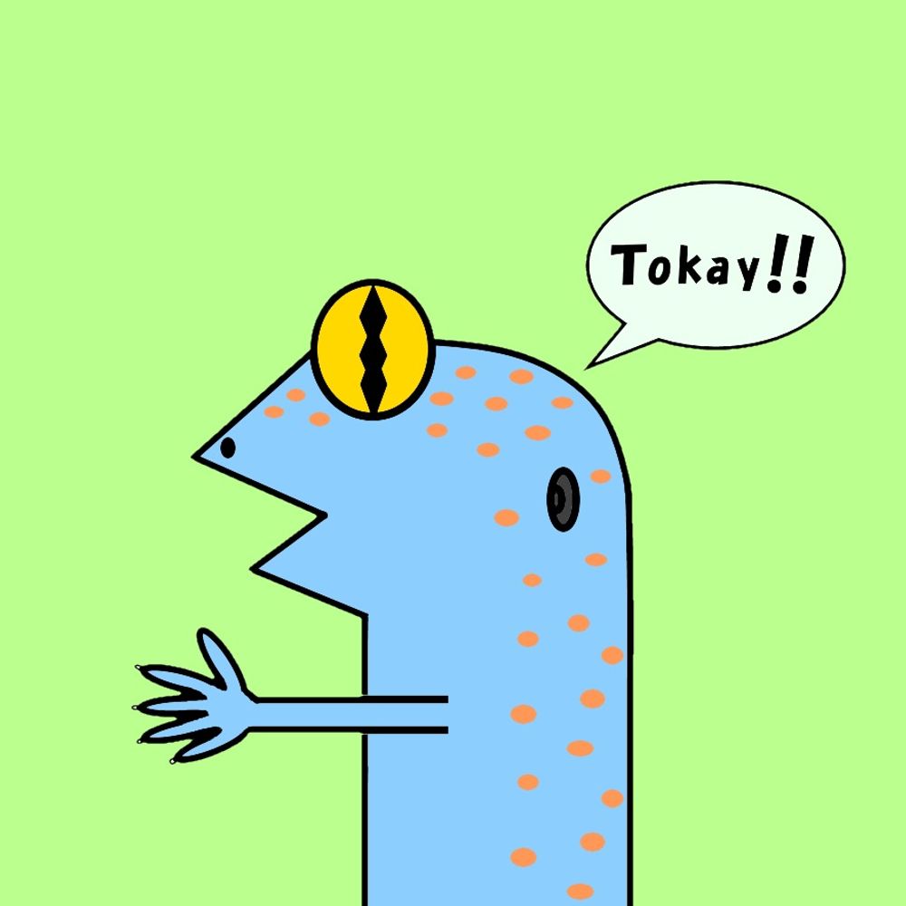 Wasabi