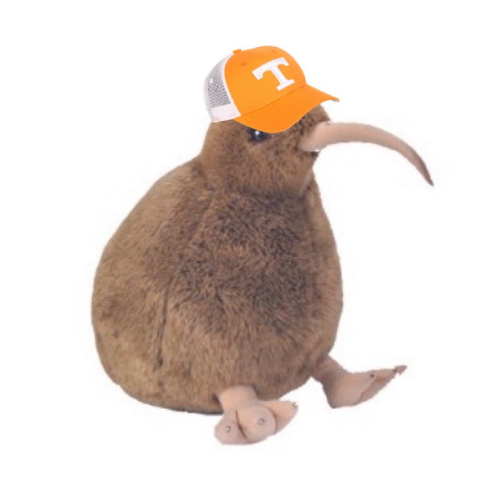 carp seat headass