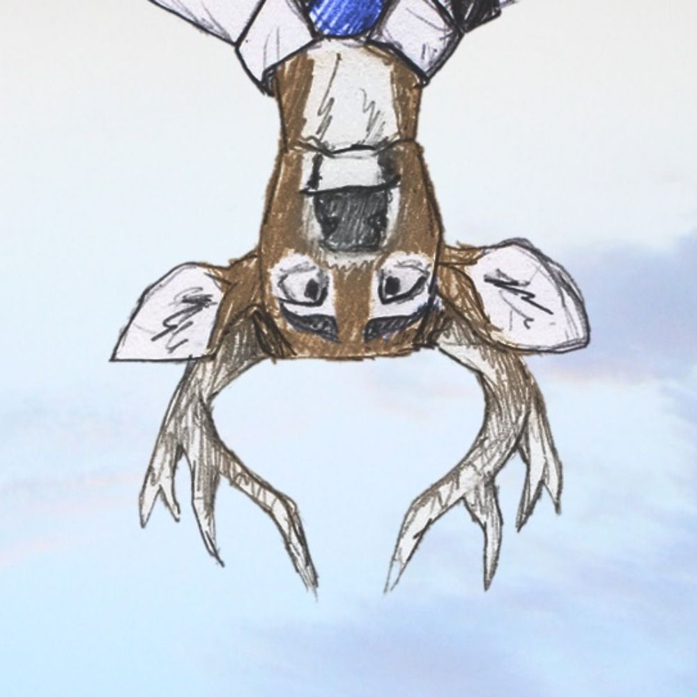 Campo Largo VN