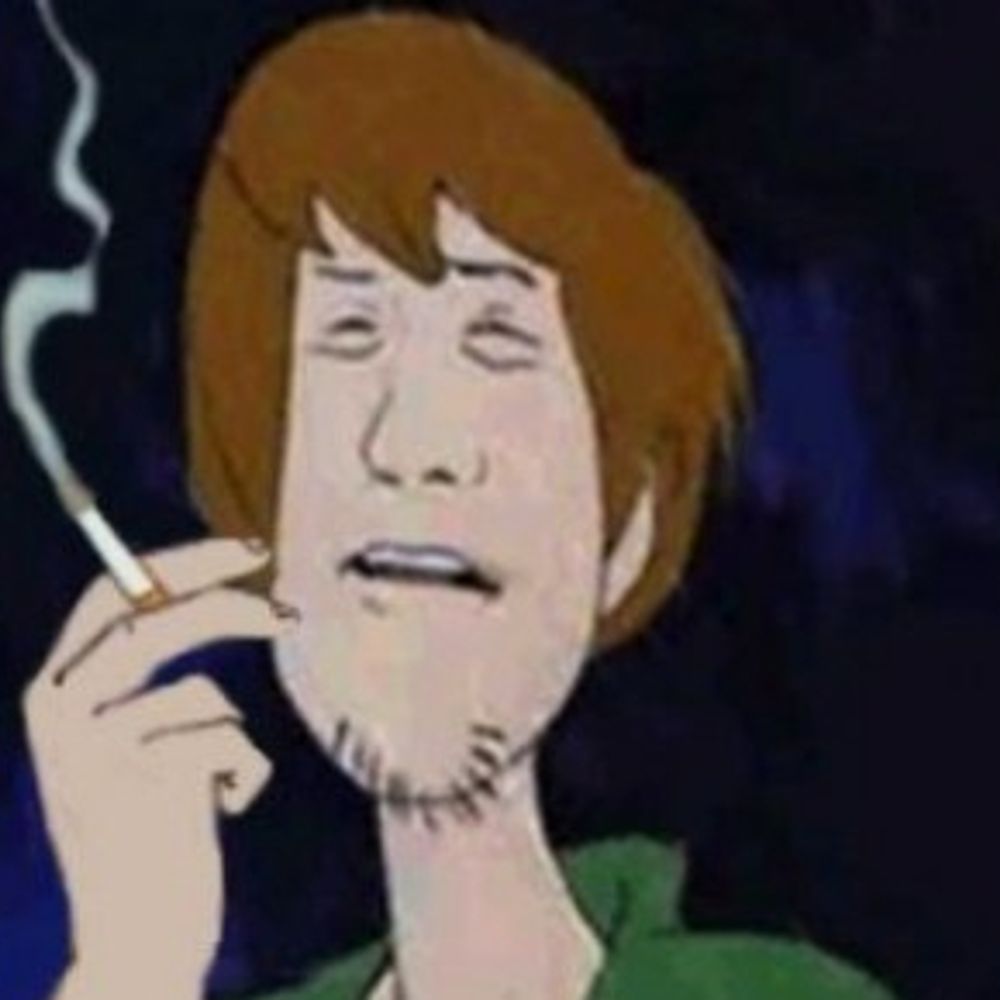 Shaggy Labs