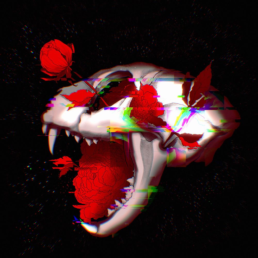✦ Yan Vish ✦