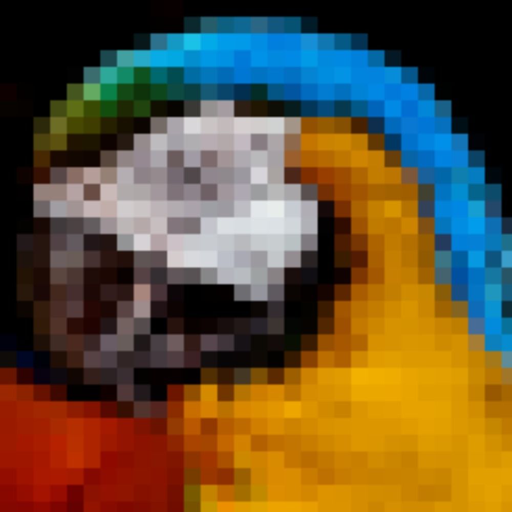 Hallucinating Parrots