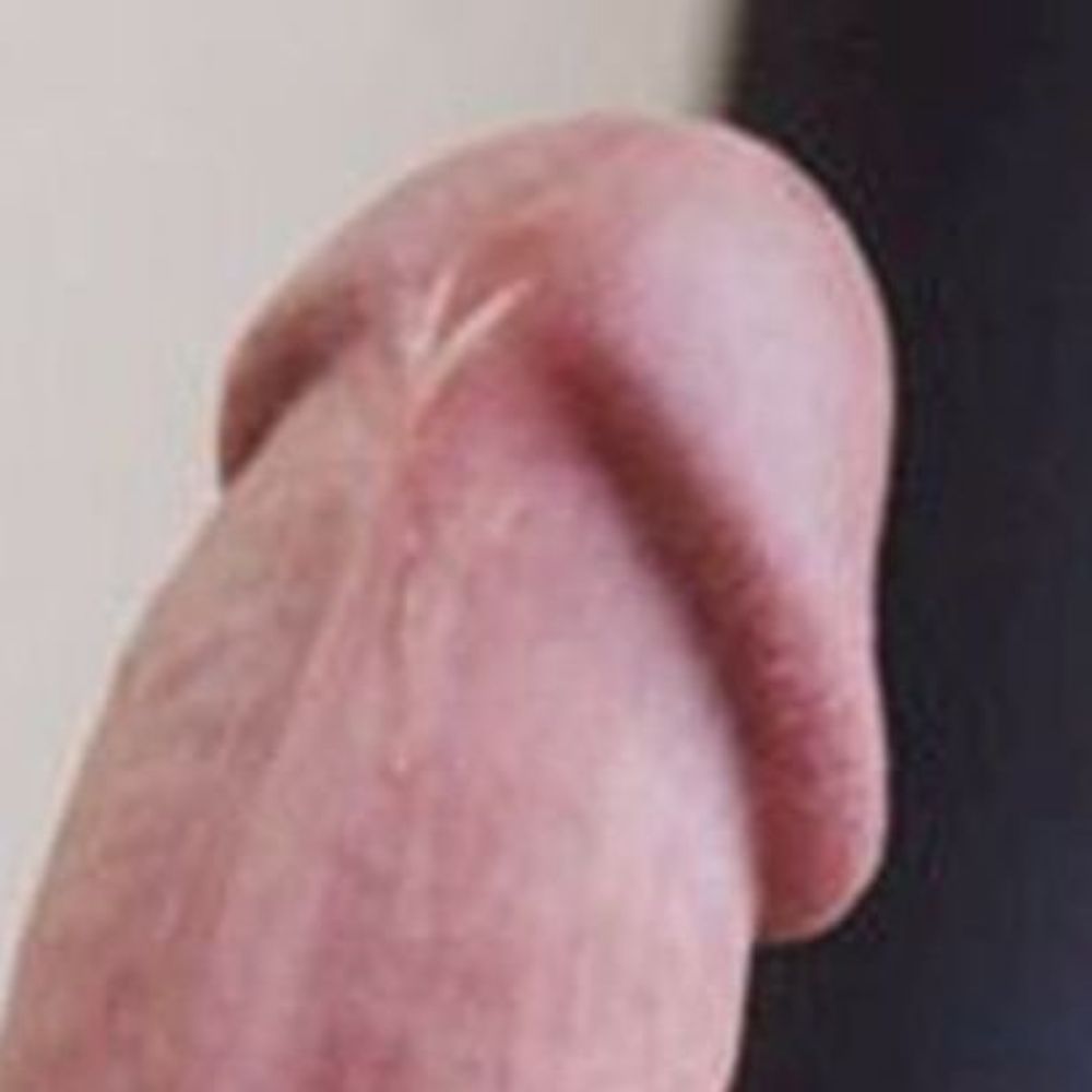 Cock Worshiper.