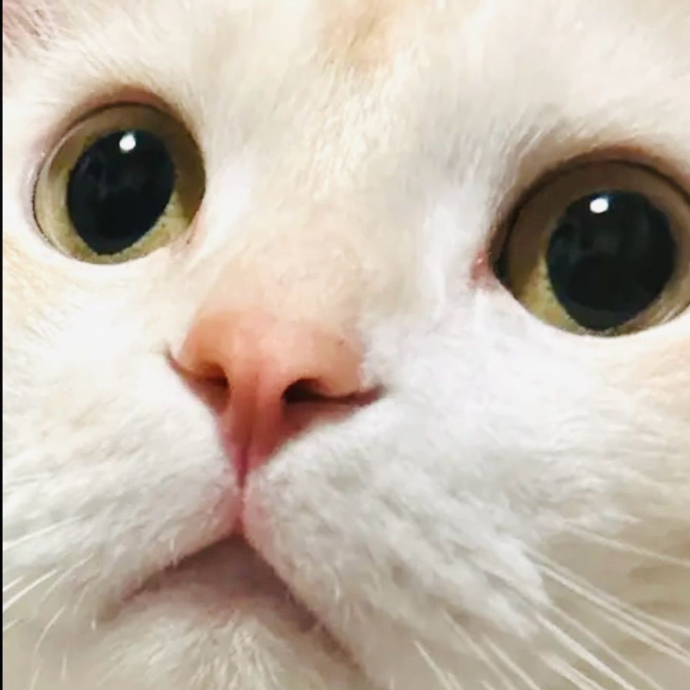 KAORI