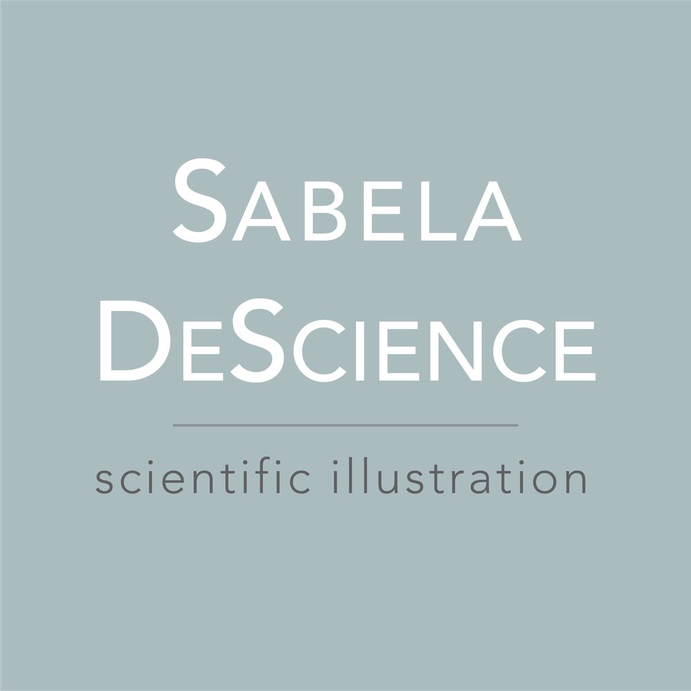 Sabela DeScience