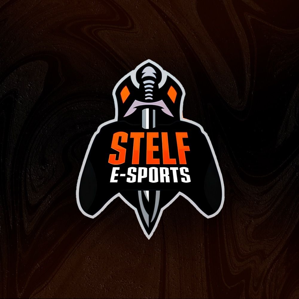 TEAM STELF