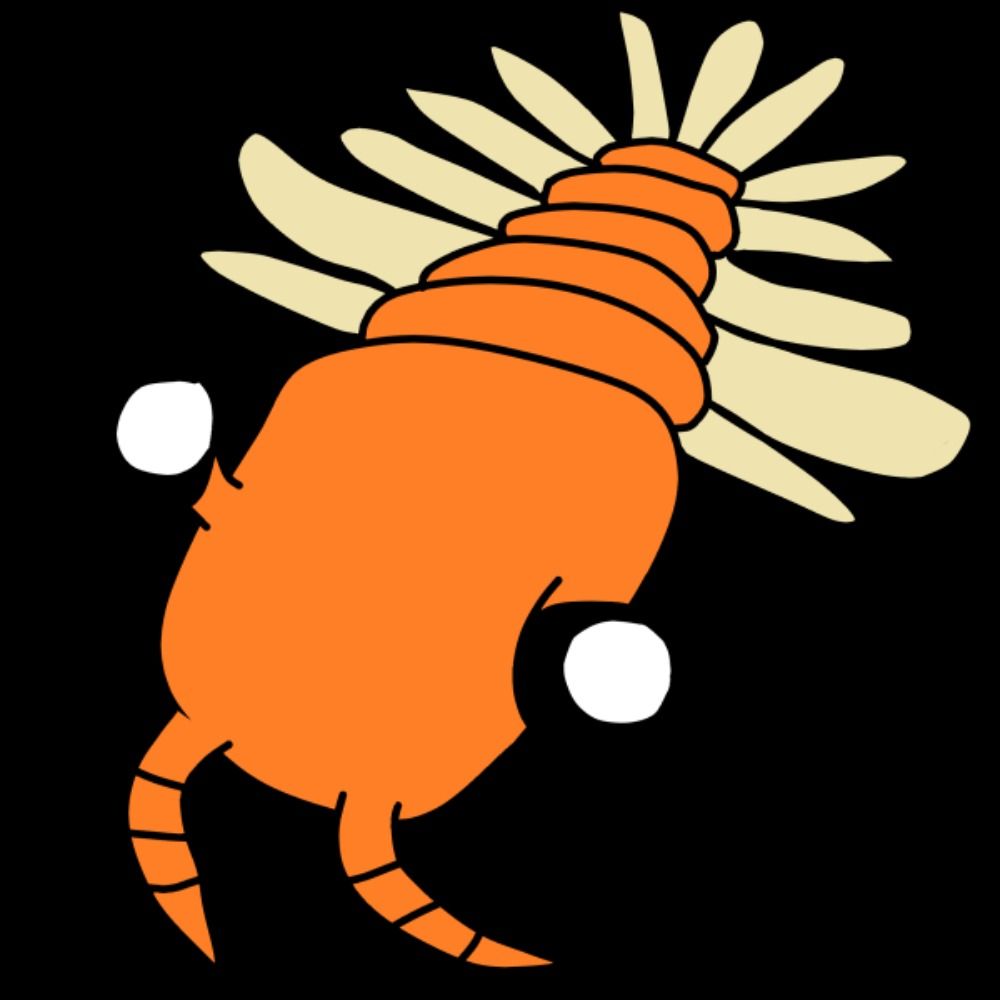 anomalo3