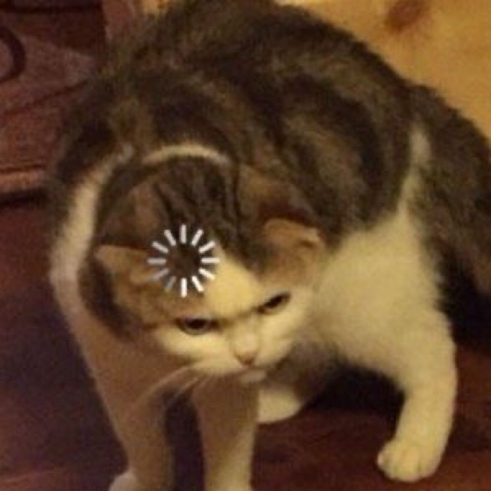 ☾⋆⁺₊⋆⁺₊ ⋆⁺ ⋆