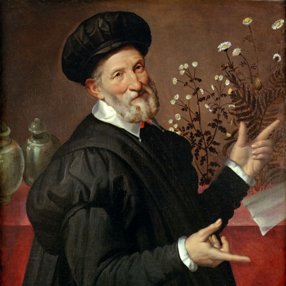 Andrea Pergola