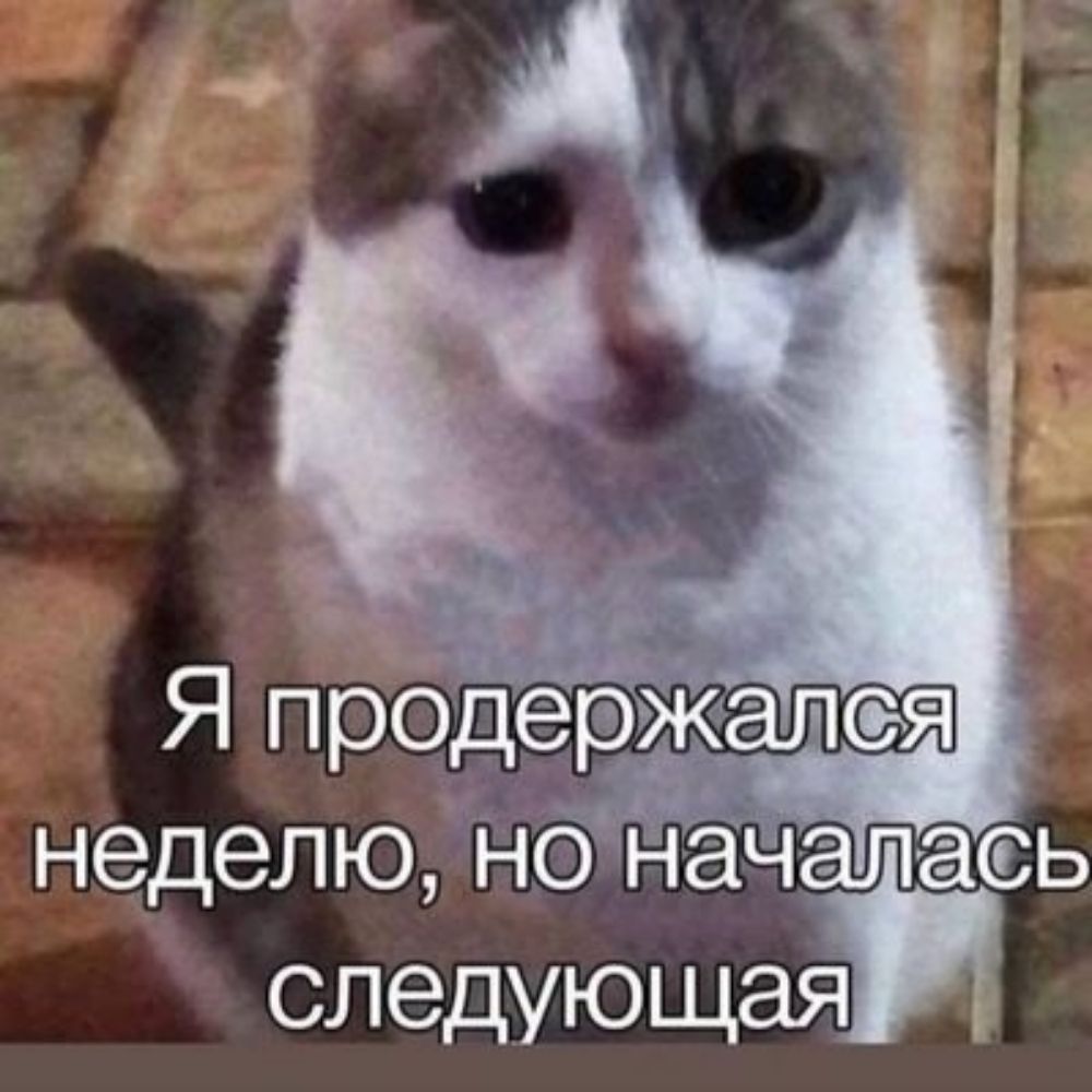 кто ты