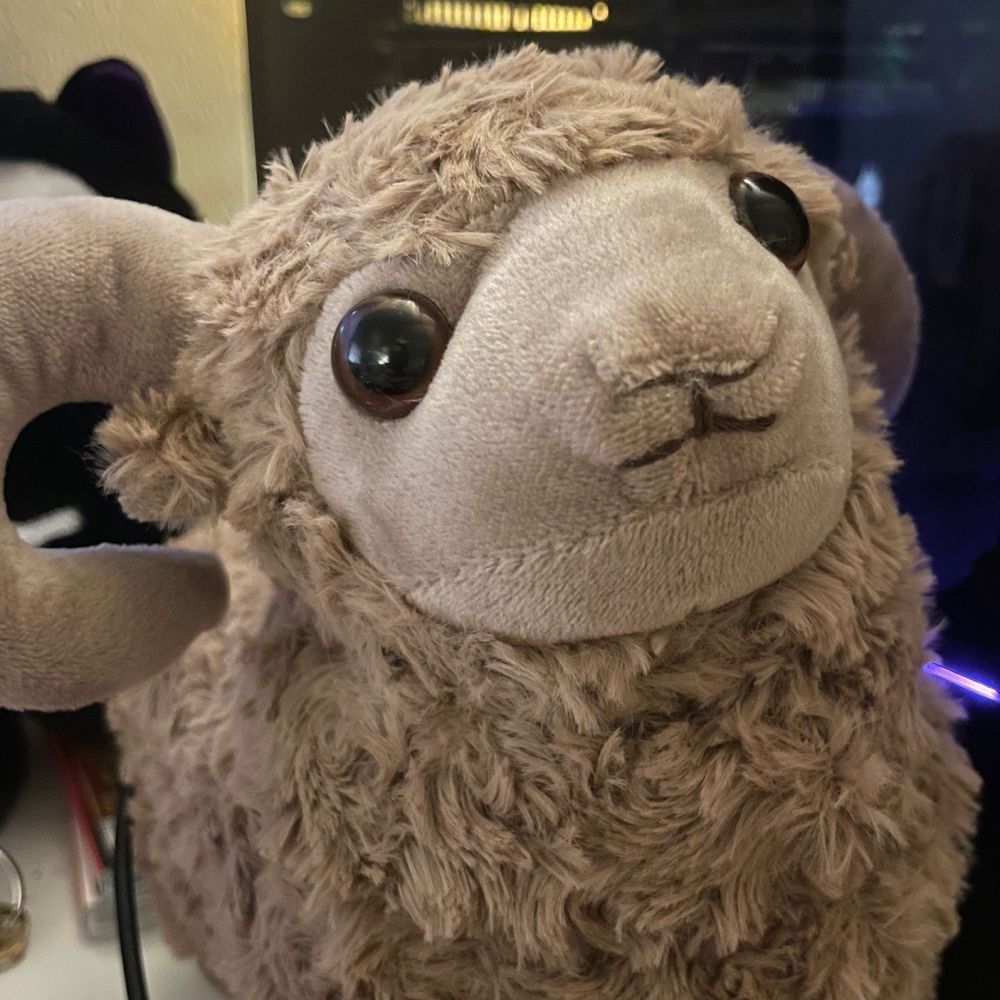RainSheep