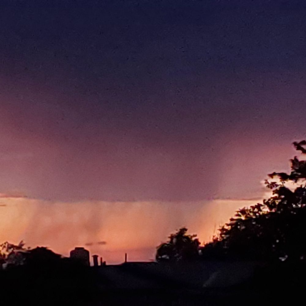 eviewhitm.bsky.social