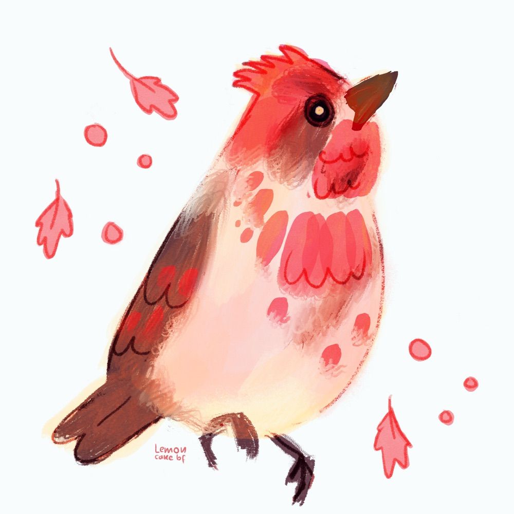 jay! 🫐