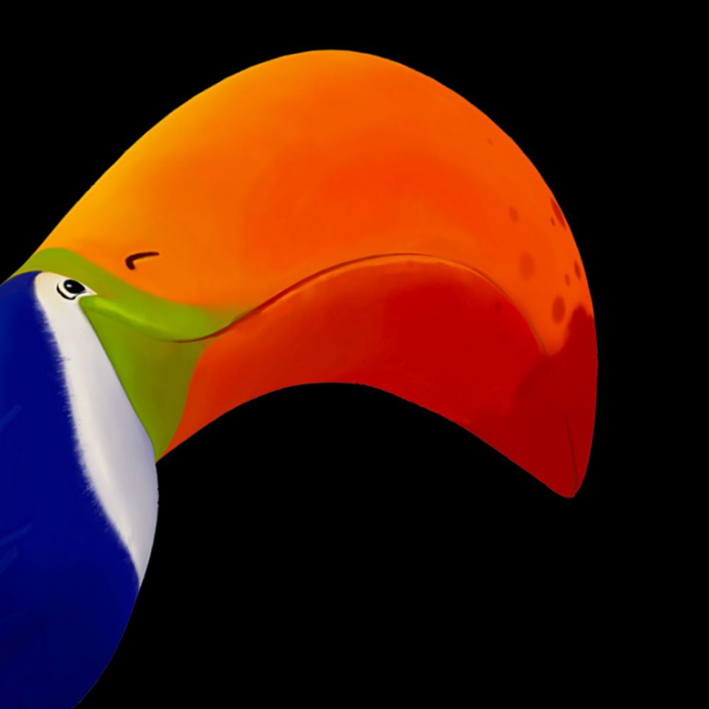 Toucan