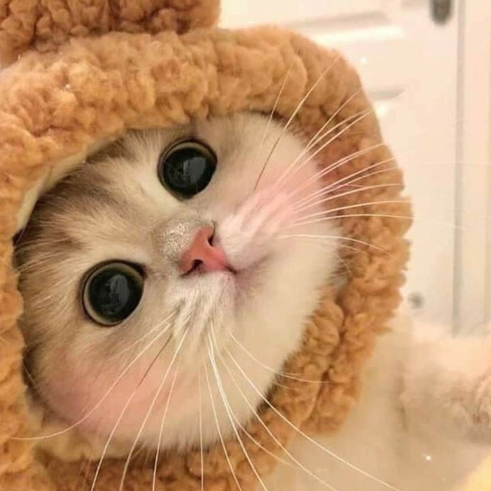 Pat