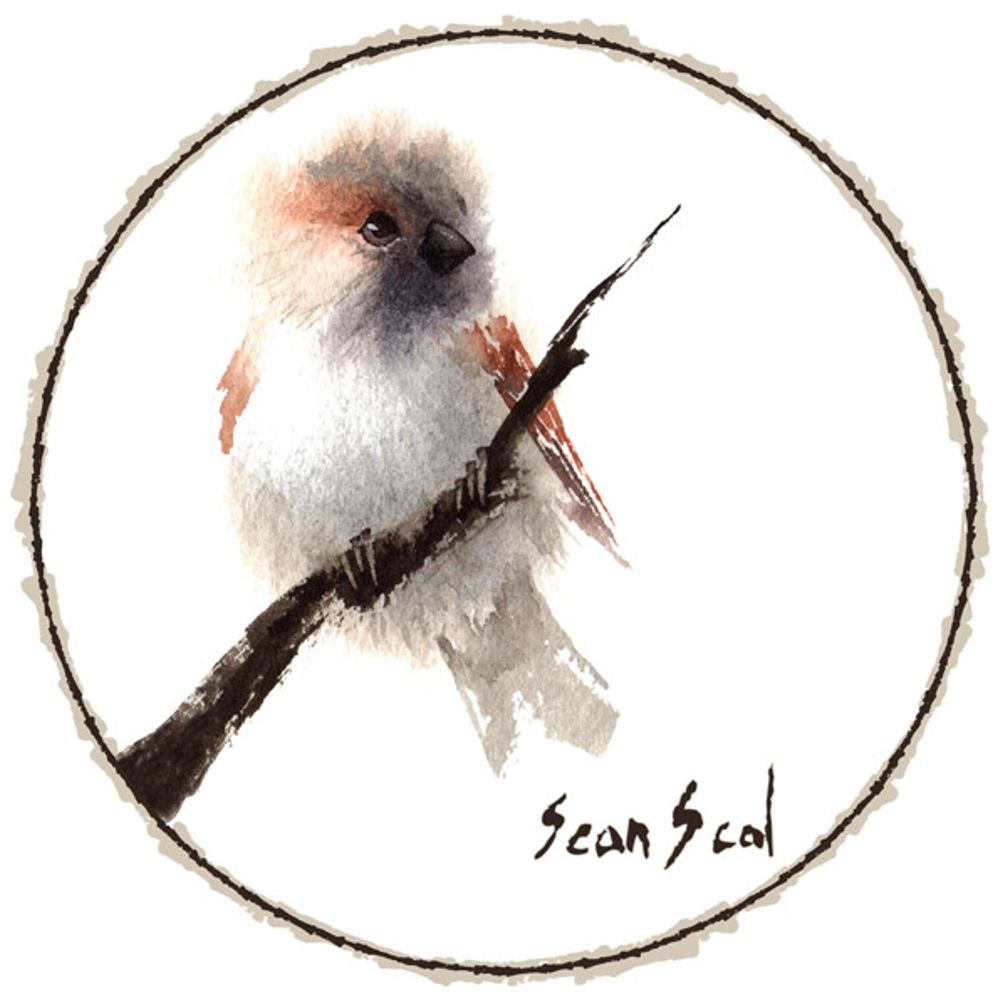 Sean Seal