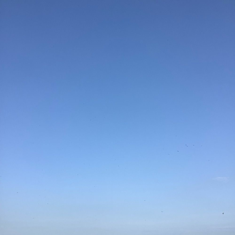 主夫常青