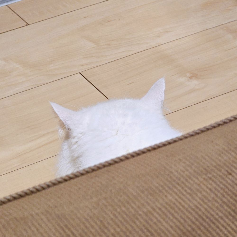 マビネッコ