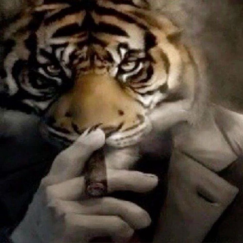 💥
