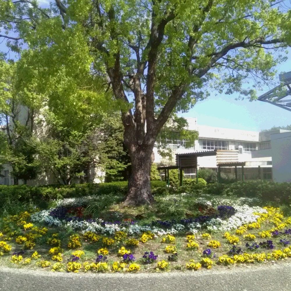 Kazuhiro Takada