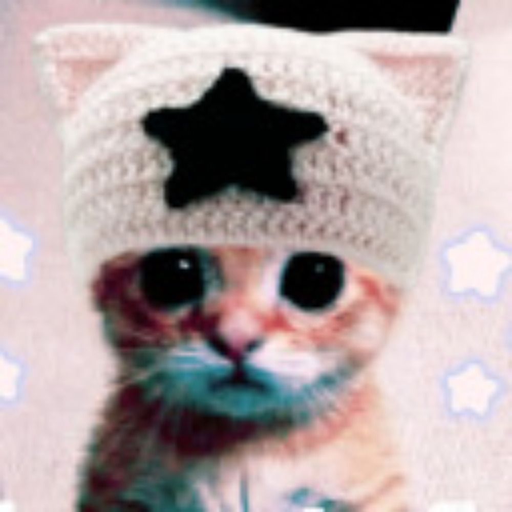 The Dreamy Cat Thrift