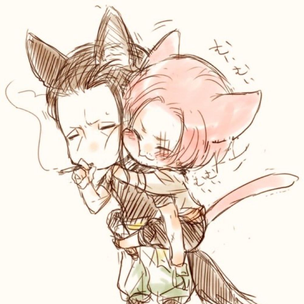 ネコタ